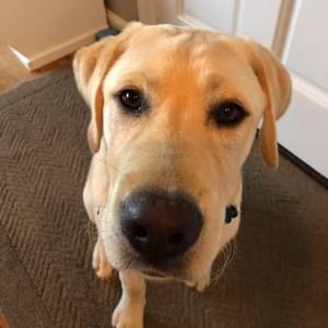 Meet your Posher, Missy